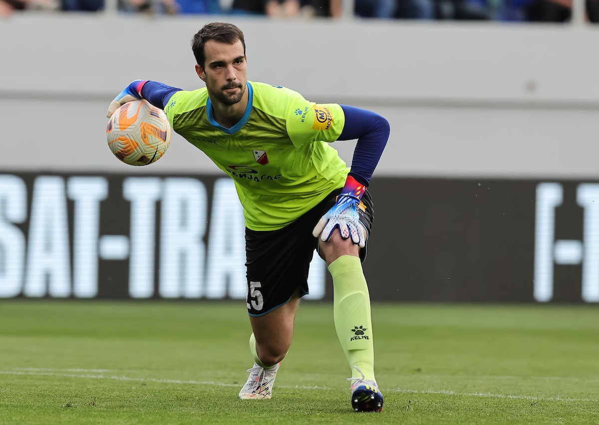 lazar carevic vojvodina