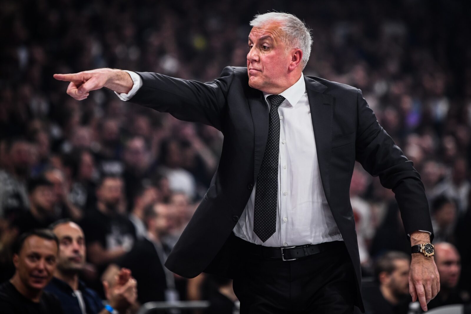 obradovic