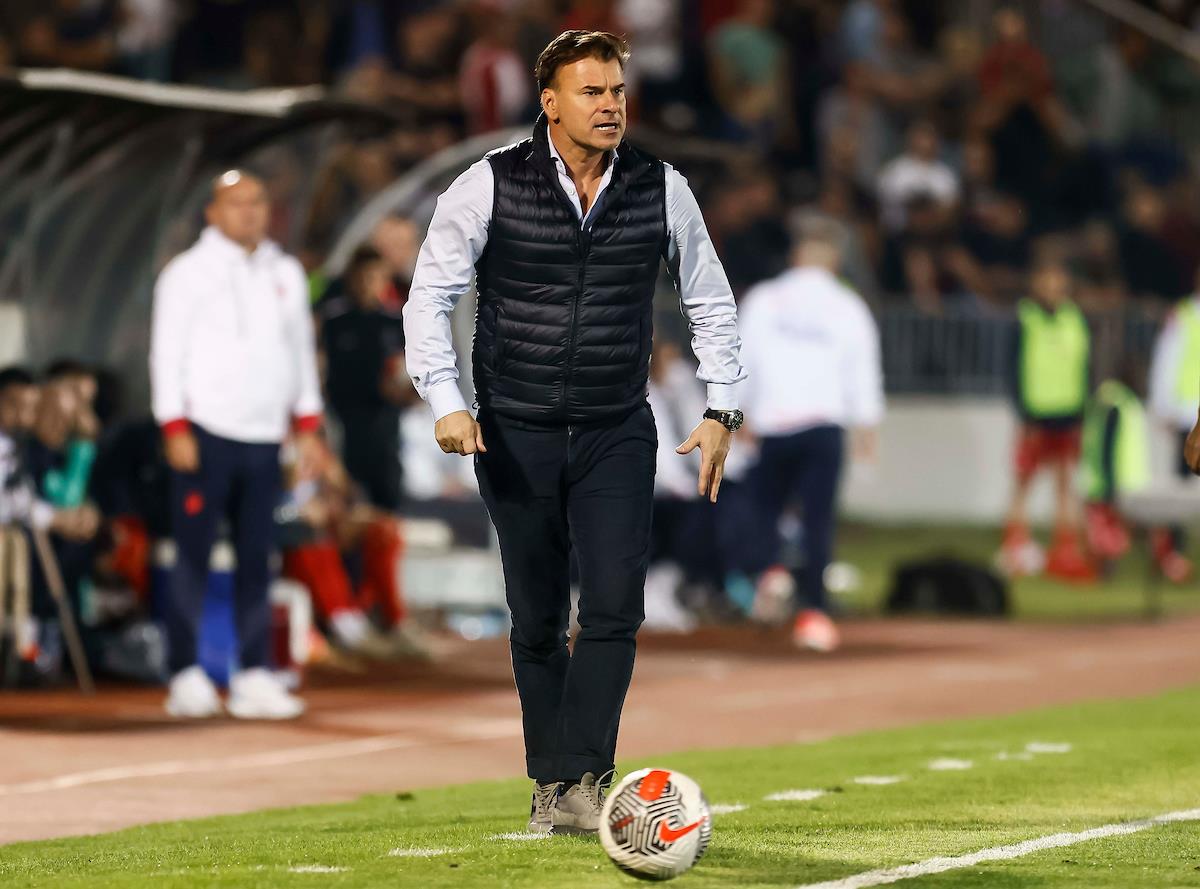 stanojevic